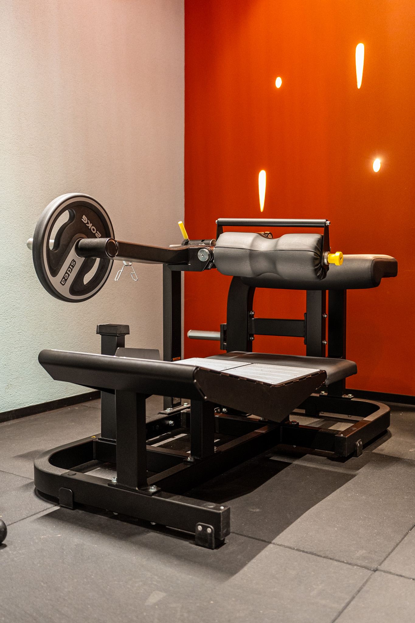 Exercice muscu : quels sont les meilleurs exercices à réaliser ?