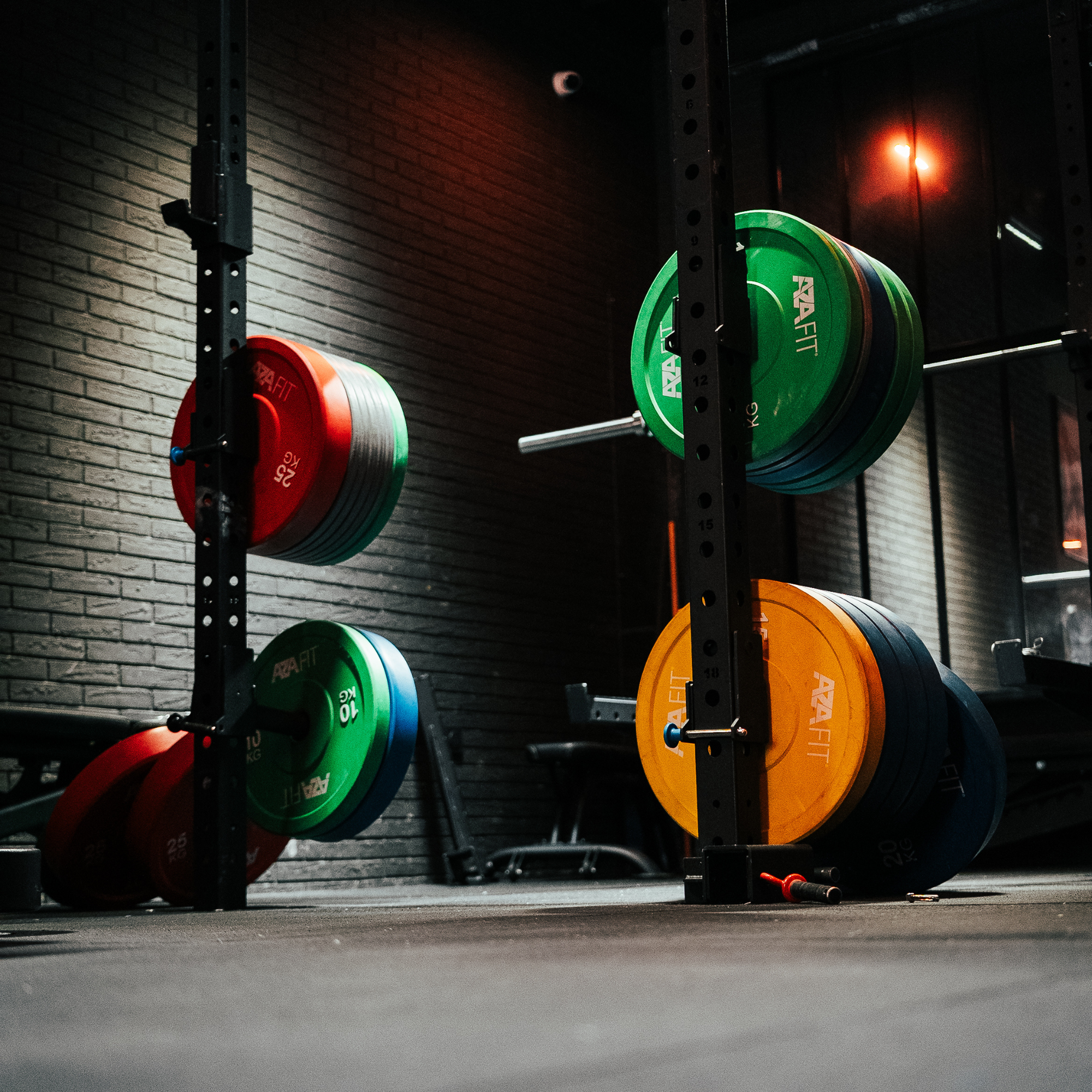 Exercices musculation : le guide complet pour progresser